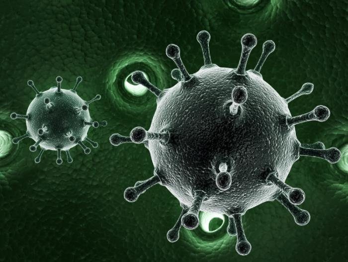 Вирус гепатита с в стадии репликации thumbnail