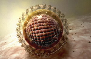 на что влияет вирусная нагрузка при гепатите С