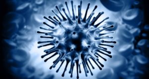 В чем основные отличия между вирусным гепатитом В и С, Гепатит В