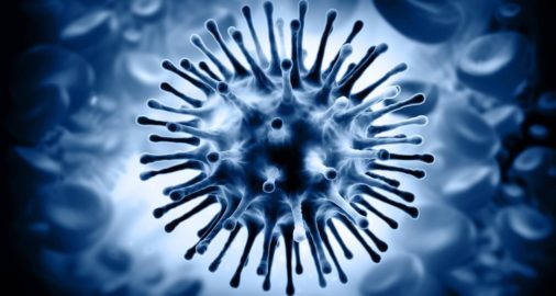 отличия между вирусным гепатитом В и С