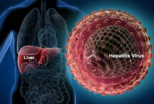 Что такое референсные значения в анализе крови на гепатит С, Гепатит C