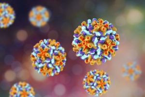 Гепатит b: микробиология, Обзор и факты